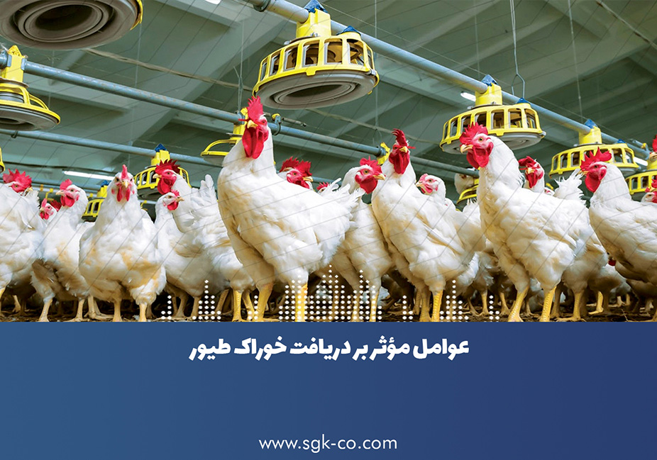 Factors Affecting Feed Intake of Chickens